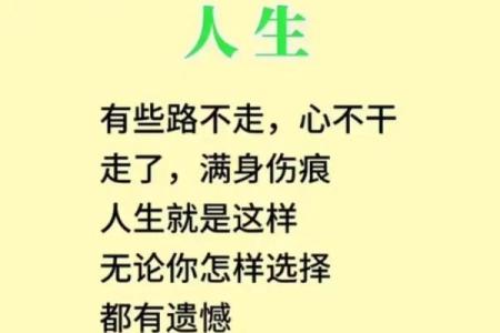 2005年鸡的命运：如何在风云变化中找到人生方向