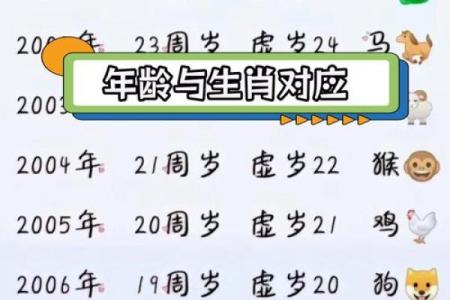 94岁高龄：如何解析2023年的生命密码与属相命理