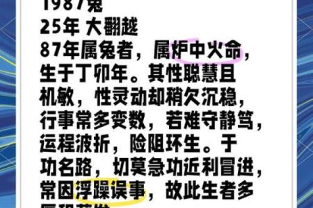 兔年61岁属什么命？探寻生肖与命运的奥秘