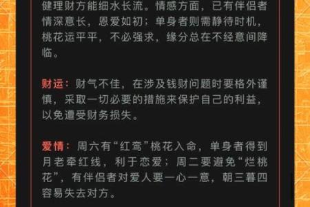 探索十二年命运：如何解读你的生肖与生活轨迹