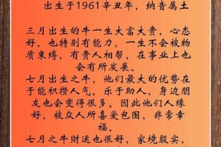 解析1997年牛年八字命理：牛年的命运与个性特征