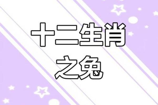 1999年2月出生的人属兔，命运与性格的深度解析