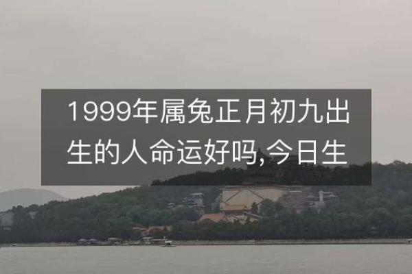 1999年2月出生的人属兔，命运与性格的深度解析