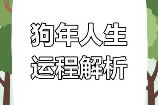 2006年属狗的人命运解析与人生建议