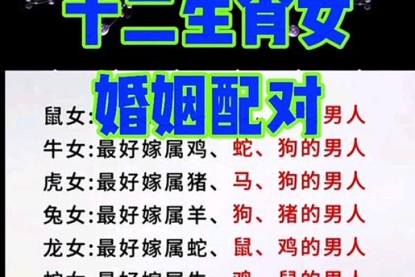 水命生肖最佳配对，解密命理与爱情的完美结合！