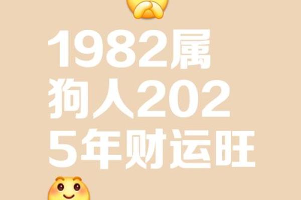 1982年属狗人的命运与性格揭秘，如何把握人生机遇？