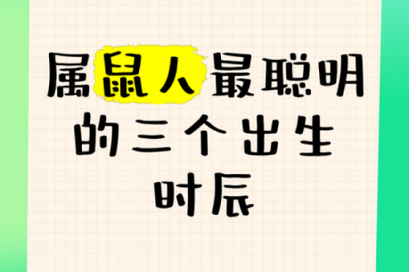 鼠年小孩的命运解析：天生的聪慧与未来的发展潜力