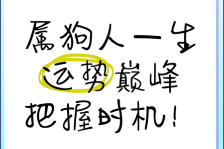 1964年属狗的命运解析：深挖命理秘境，发现属于你的成功之路