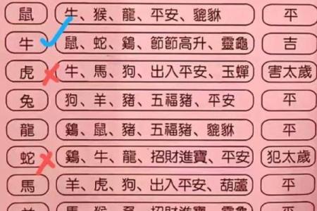 2009年属马的命运与人生规划指南