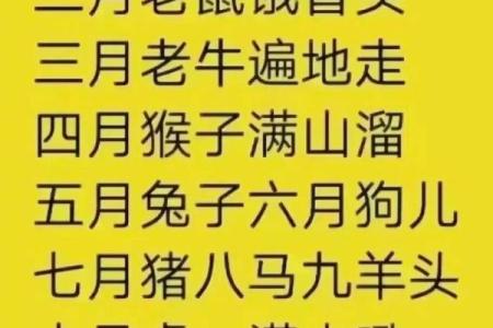 属鸡的人生运势解析：从年龄看命运的秘密