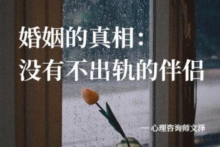 探寻歌曲《命运》的深意与情感共鸣