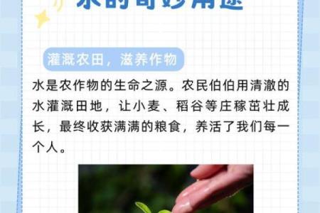 如何通过选择助水植物来改善命理缺水问题？