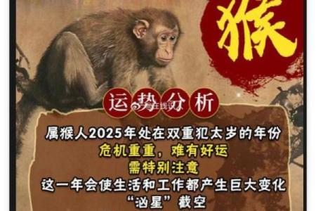 2025属猴命理解析：聪明灵动的猴子如何展现精彩人生