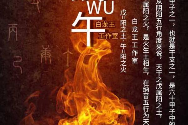 探秘十大贵命命格日柱,揭示你命中的财富与机遇! 探秘十大贵命命格日柱,揭示你命中的财富与机遇!