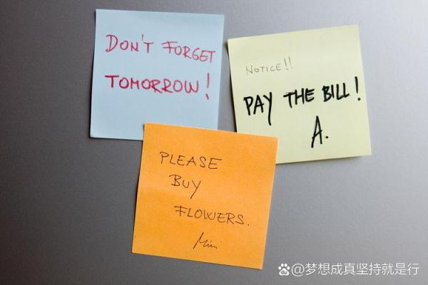 追寻生活中的未尽之乐, rediscovering the joys we overlooked 追寻生活中的未尽之乐, rediscovering the joys we overlooked