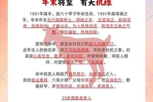 1991年属马之人的命运解析与生活启示 1991年属马之人的命运解析与生活启示
