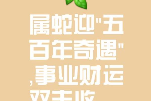 生肖蛇的命格解析:揭秘你的天生特质与运势走向 生肖蛇的命格解析:揭秘你的天生特质与运势走向
