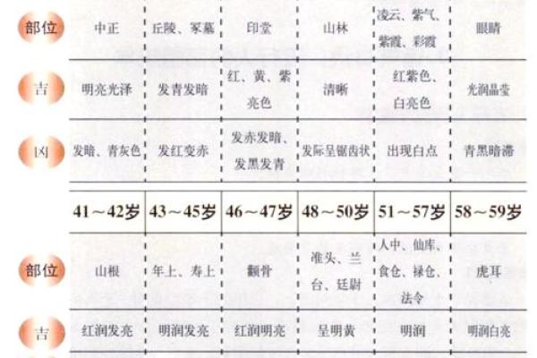 从1983年出生的人:命与运的深层解析 从1983年出生的人:命与运的深层解析