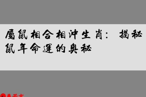 命心意味着什么?揭示与生肖的奥秘与关联 命心意味着什么?揭示与生肖的奥秘与关联