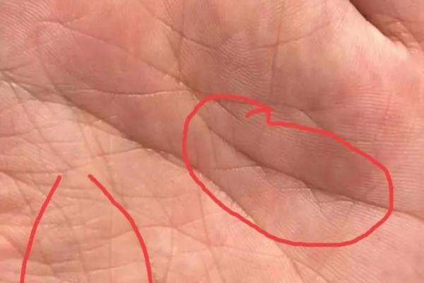 女人掌纹解析:揭秘命运与幸福的秘密 女人掌纹解析:揭秘命运与幸福的秘密