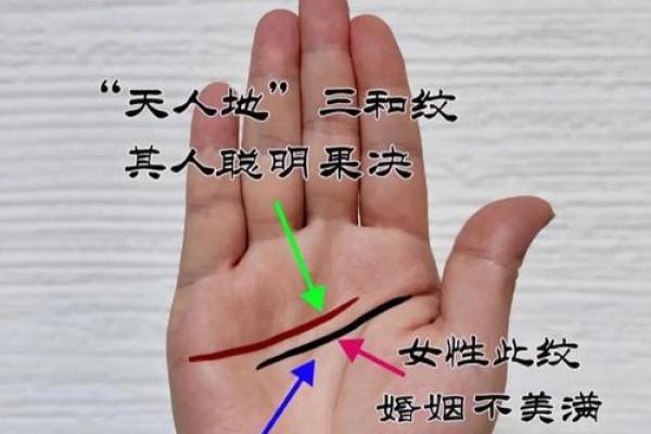 女人掌纹解析:揭秘命运与幸福的秘密 女人掌纹解析:揭秘命运与幸福的秘密