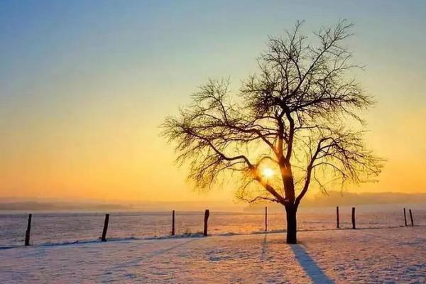 揭开心灵密码,与命运做朋友的精彩旅程 揭开心灵密码,与命运做朋友的精彩旅程