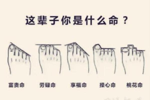 1993年4月30日出生的人命运解析及其个性特点 1993年4月30日出生的人命运解析及其个性特点