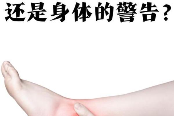 探秘脚纹:你脚上的纹路藏着富贵命的秘密! 探秘脚纹:你脚上的纹路藏着富贵命的秘密!