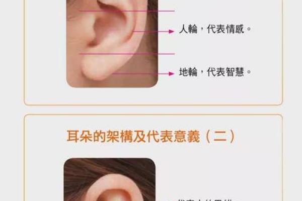 鹿与命理的完美搭配:探寻生肖与命格的和谐之道 鹿与命理的完美搭配:探寻生肖与命格的和谐之道