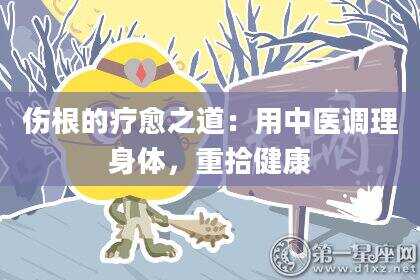 伤根的疗愈之道：用中医调理身体，重拾健康